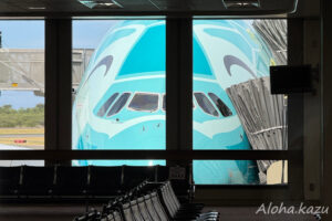 ANA A380