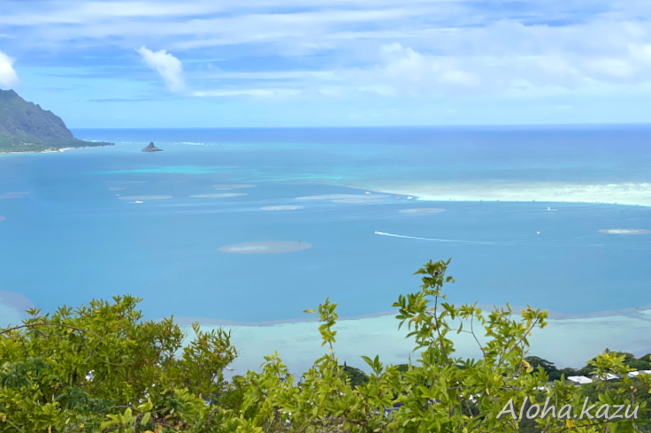 プウマエリエリ