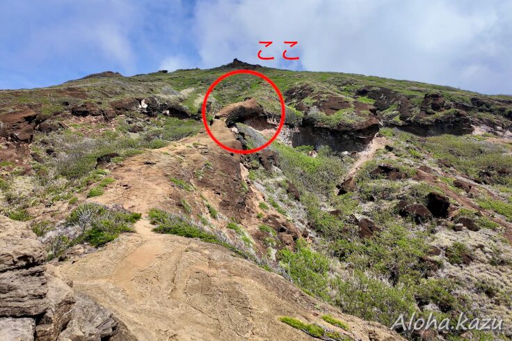 ココヘッドアーチの場所